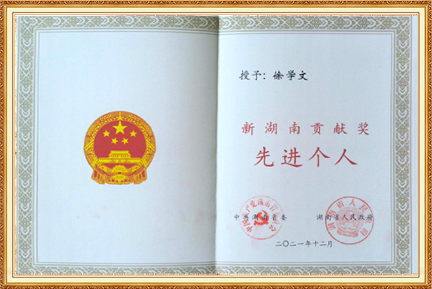 新湖南貢獻(xiàn)獎(jiǎng)先進(jìn)個(gè)人