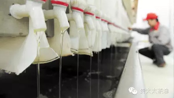 【長沙晚報】湖南貴太太帶兩萬農(nóng)戶奔小康