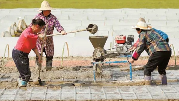 湖南日?qǐng)?bào)丨聚力打造“生物制造谷”——常德貫徹落實(shí)全國(guó)兩會(huì)精神，推動(dòng)合成生物制造產(chǎn)業(yè)高質(zhì)量發(fā)展