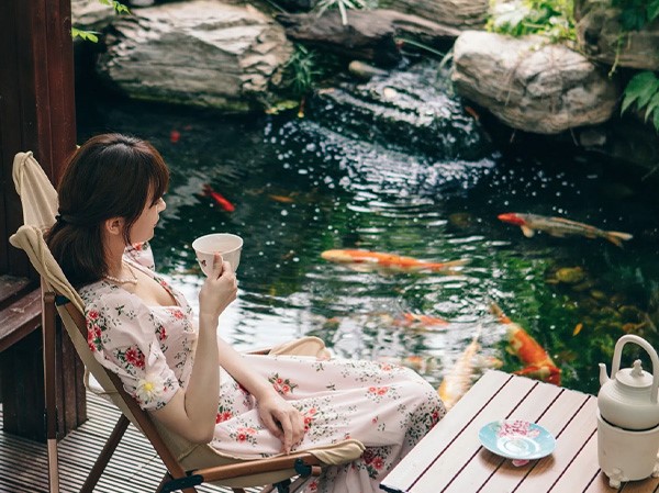 錦鯉實(shí)驗(yàn)