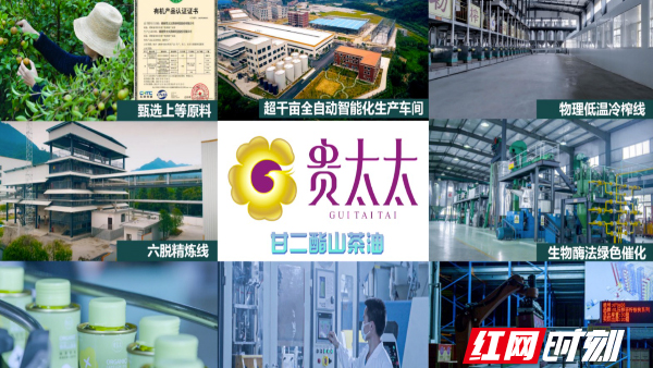 “貴太太”甘二酯山茶油 開(kāi)啟茶油產(chǎn)業(yè)創(chuàng)新新紀(jì)元