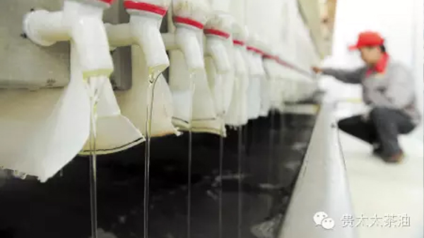 【長(zhǎng)沙晚報(bào)】湖南貴太太帶兩萬(wàn)農(nóng)戶(hù)奔小康