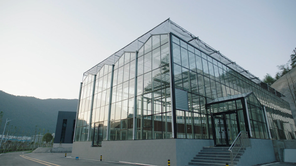 大國(guó)戰(zhàn)略博弈生物制造，合成生物企業(yè)如何把握百年機(jī)遇？