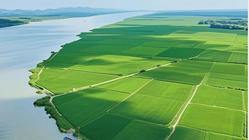 湖南省糧食和物資儲(chǔ)備科技活動(dòng)周專(zhuān)刊：特沃斯（貴太太）集團(tuán)“食用植物油關(guān)鍵技術(shù)突破及產(chǎn)業(yè)創(chuàng)新發(fā)展實(shí)踐—以貴太太甘二酯山茶油為例”